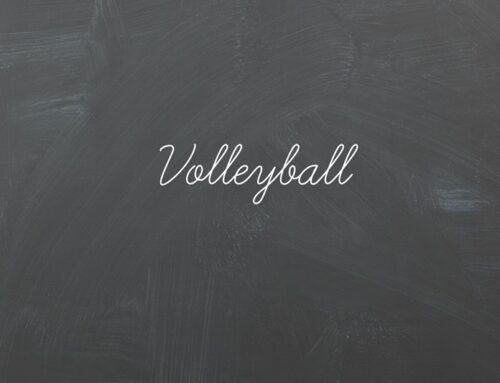 Volleyball – VFC Anklamer Greif