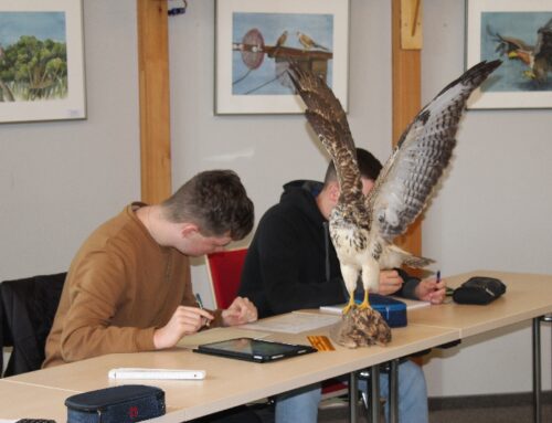 Neues vom WPU-Kurs „Fliegen“